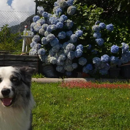 Daire Casa Mailinne *