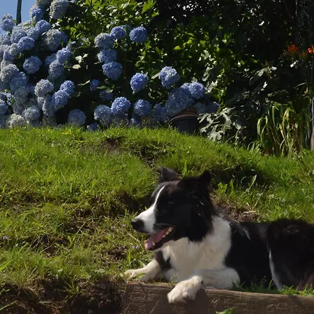 Casa Mailinne Daire Baveno