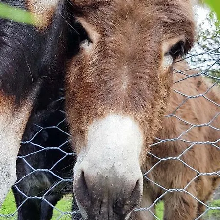 Casa Mailinne Baveno
