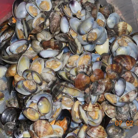 Appartement Casa Mailinne *