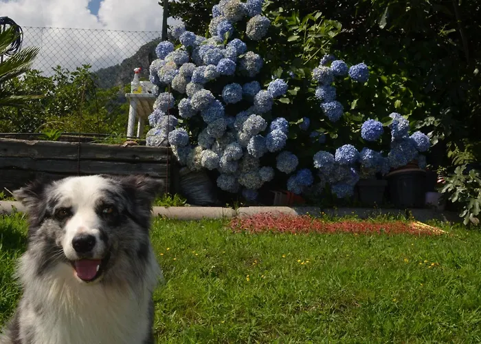 Apartment Casa Mailinne *