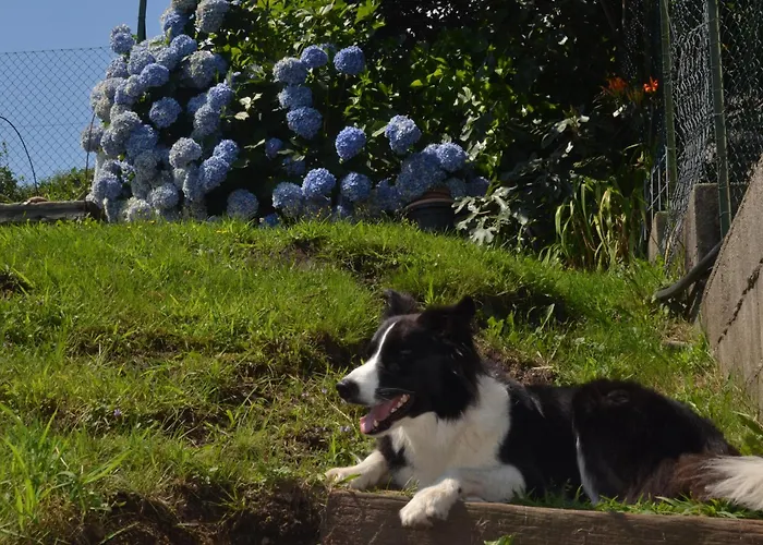 Casa Mailinne Apartment Baveno