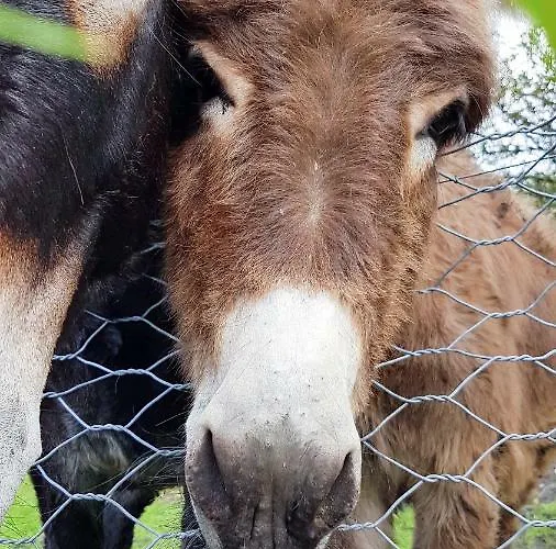 Casa Mailinne Baveno